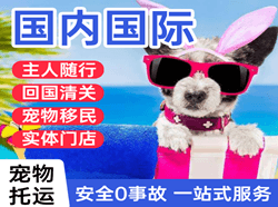 通化三源浦机场货运国际宠物托运 【国